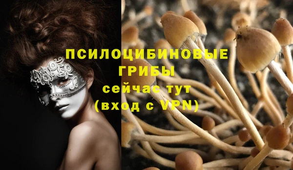 скорость Дмитриев