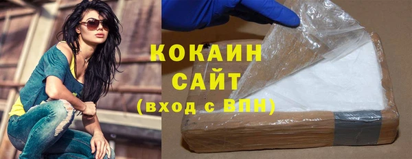 кокс Ельня