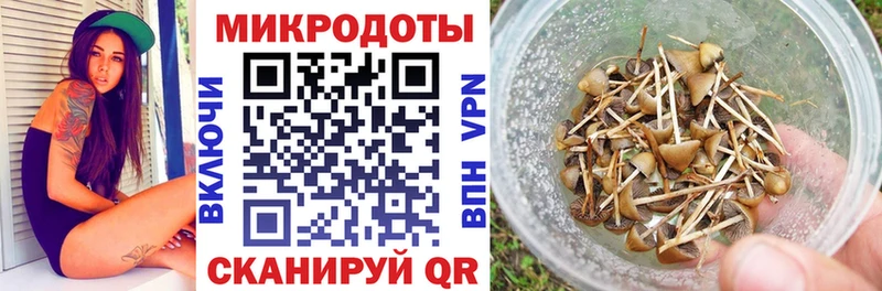 Галлюциногенные грибы Psilocybe  Купить  Владивосток 